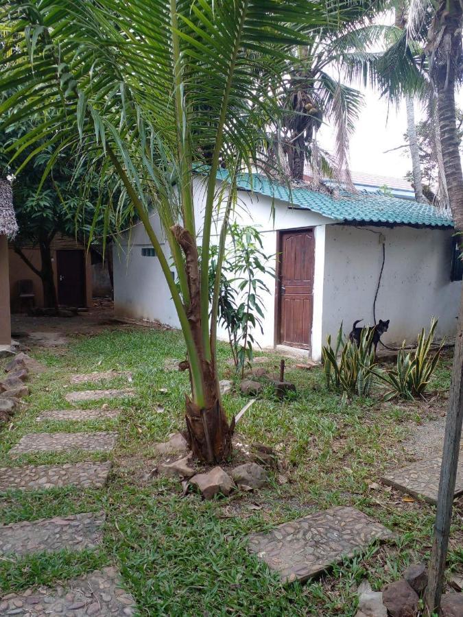 The Plantation Albergue Kampot Exterior foto